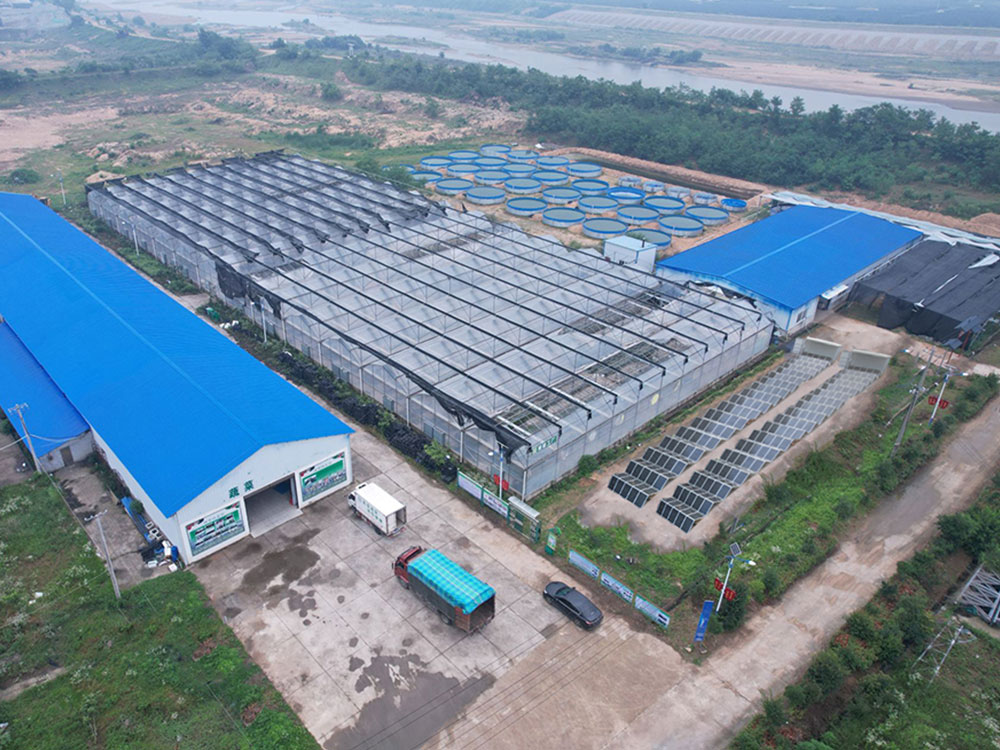 Solar Power Containers for แหล่งจ่ายไฟที่จัดหาเอง